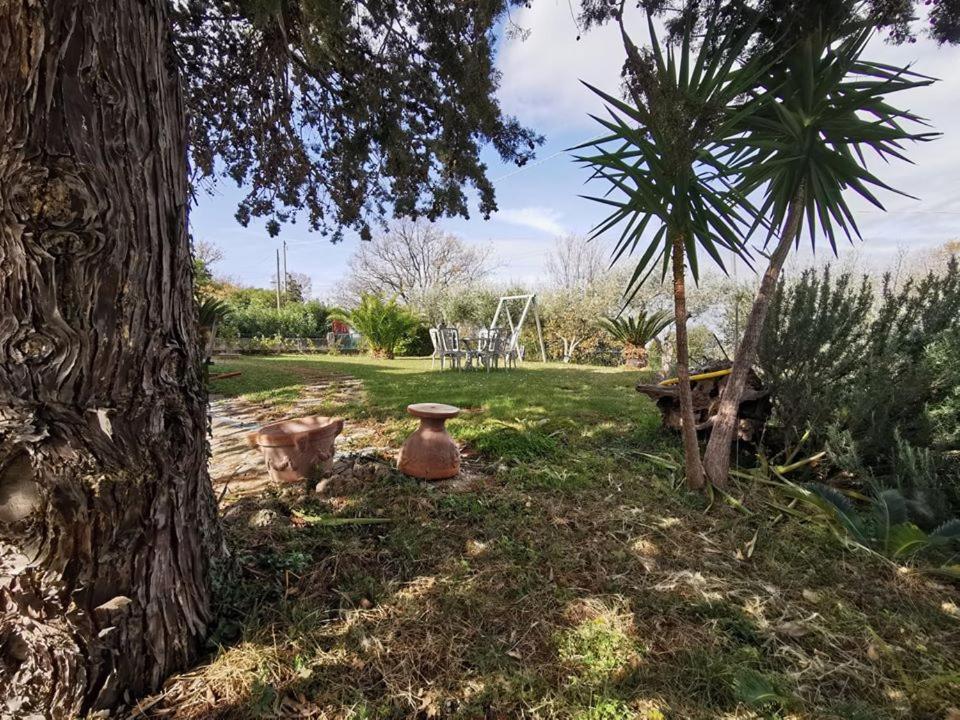 Bed & Breakfast Villa Flora Eredita Dış mekan fotoğraf