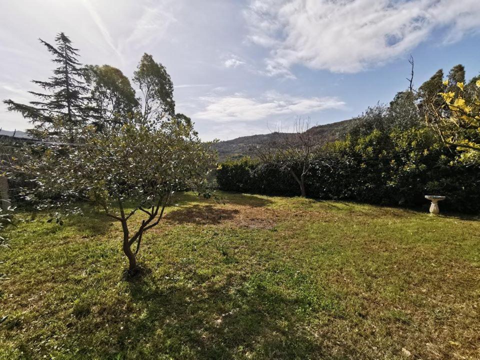 Bed & Breakfast Villa Flora Eredita Dış mekan fotoğraf